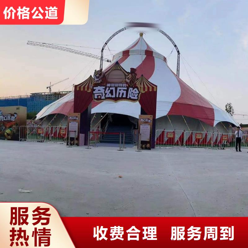 马戏团/羊驼,【马戏团表演出租租赁】专业靠谱商家