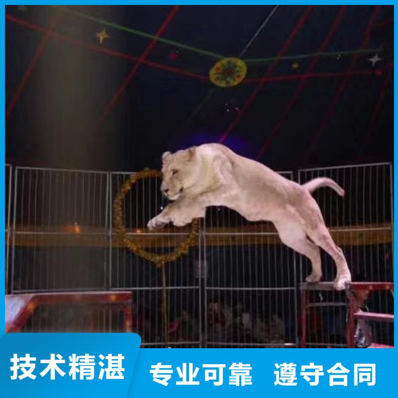 ​萌宠展出租一手资源价格公道