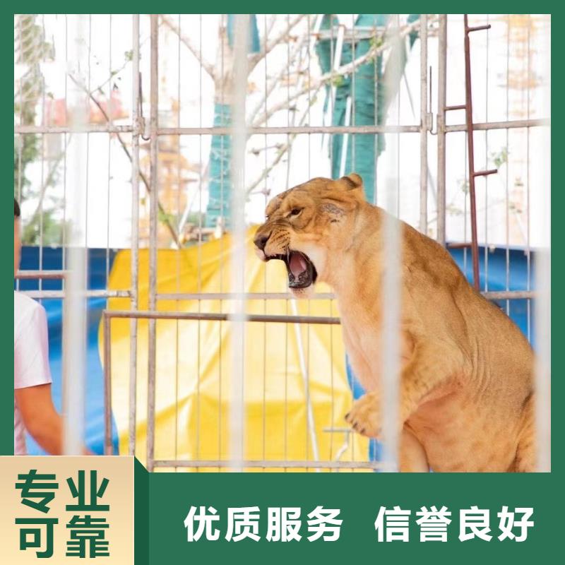 萌宠动物展览点击图片免费咨询