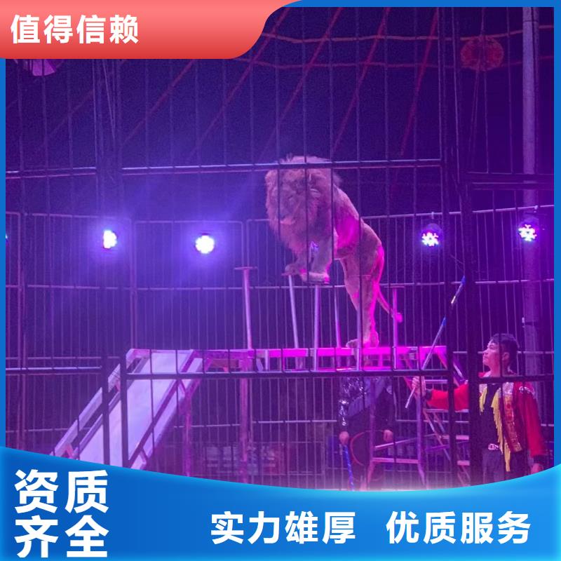 优质羊驼出租的销售厂家技术比较好
