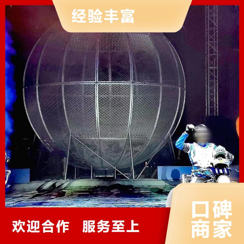 马戏团/羊驼_【动物表演出租】价格公道当地生产商