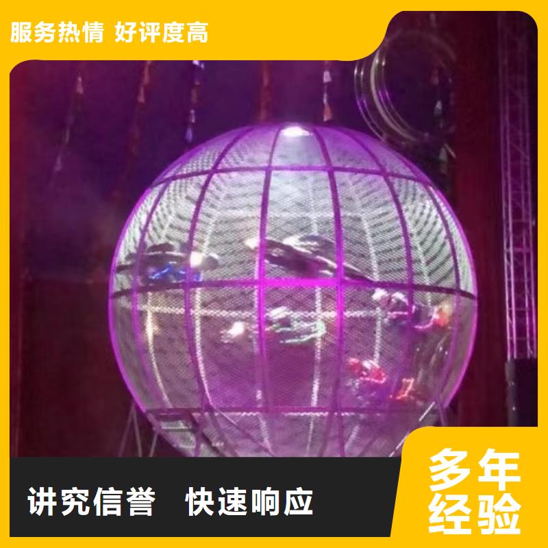 发货速度快的哪里有租赁羊驼的基地一对一服务