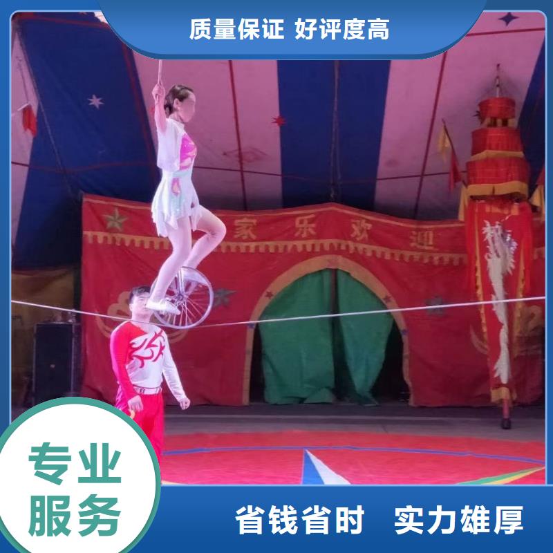 动物租赁同城供应商