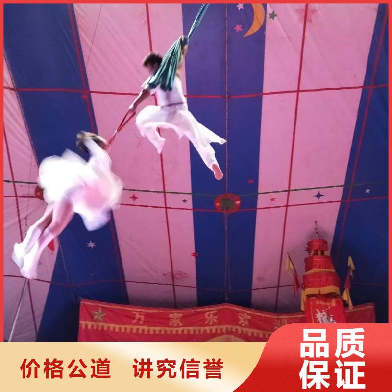 周边羊驼租赁公司同城供应商