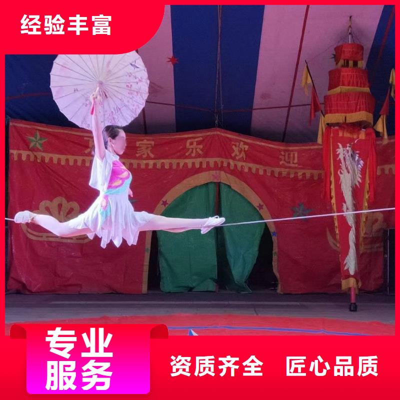 【马戏团/羊驼】海狮表演租赁收费合理一对一服务
