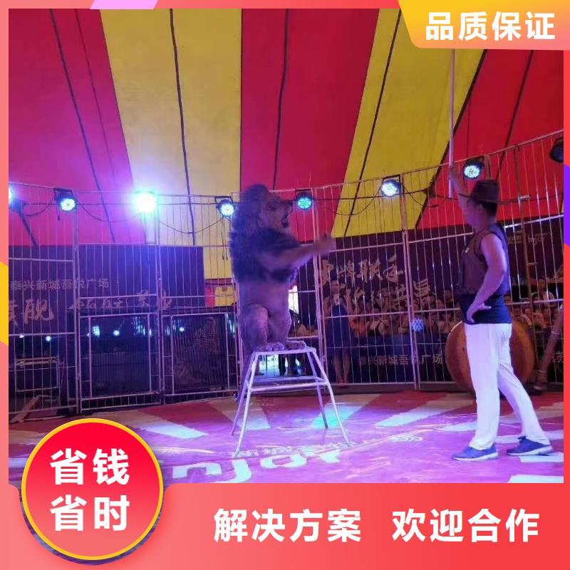 哪有出租动物表演的图片品质服务