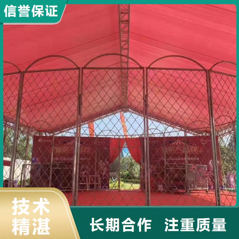 马戏团演出租赁效果满意为止