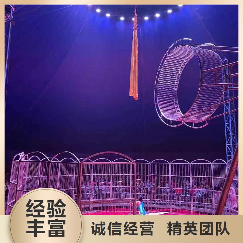 马戏团表演租赁当地制造商