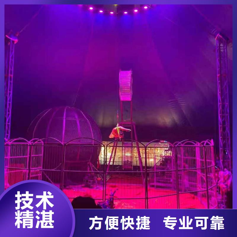 马戏团/羊驼水族海洋展2025公司实力公司