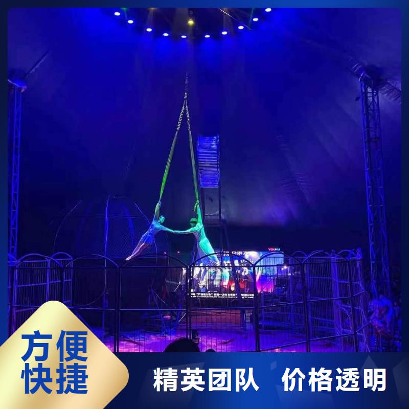 马戏团/羊驼【企鹅表演】口碑商家有实力