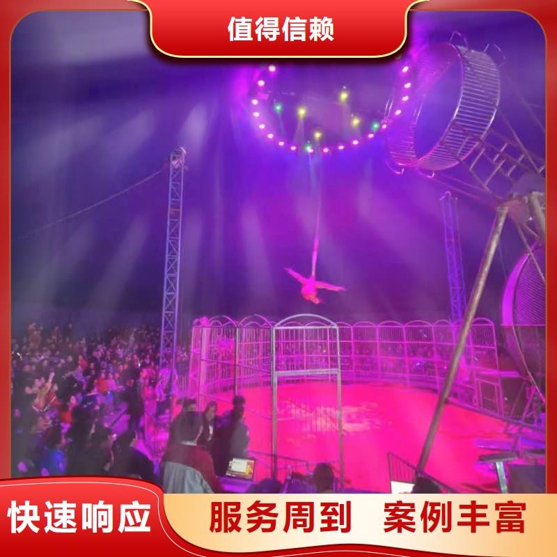 哪有出租羊驼的正规公司当地货源
