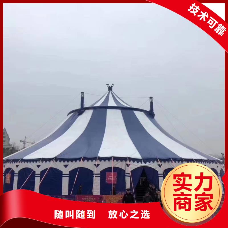 马戏团/羊驼羊驼出租高品质技术好