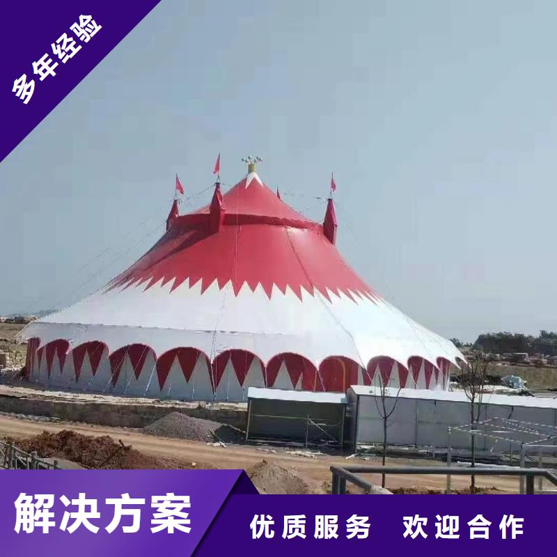 马戏团/羊驼【出租企鹅表演】团队本地制造商