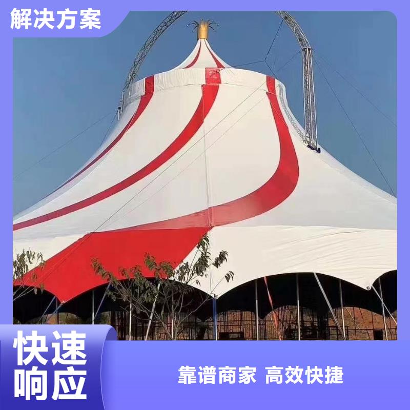 羊驼租赁当地供应商