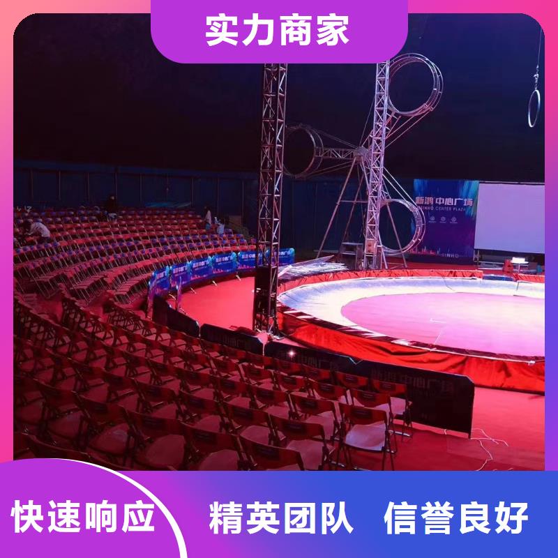 马戏团/羊驼马戏团表演承接本地经销商