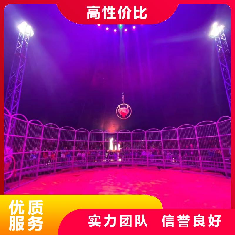 动物马戏团表演出租联系厂家讲究信誉