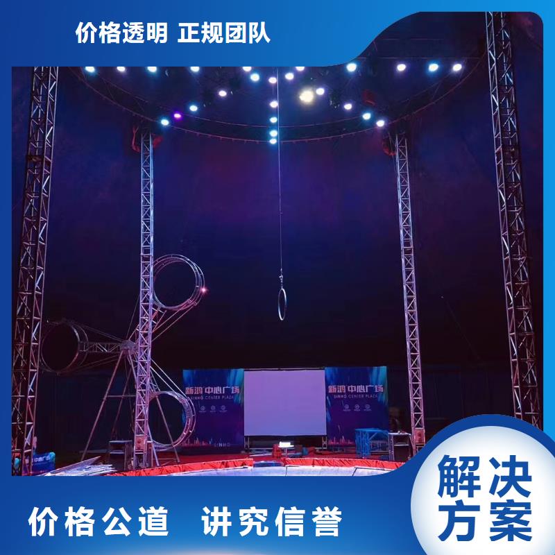 马戏团/羊驼-景区杂技表演质优价廉本地厂家