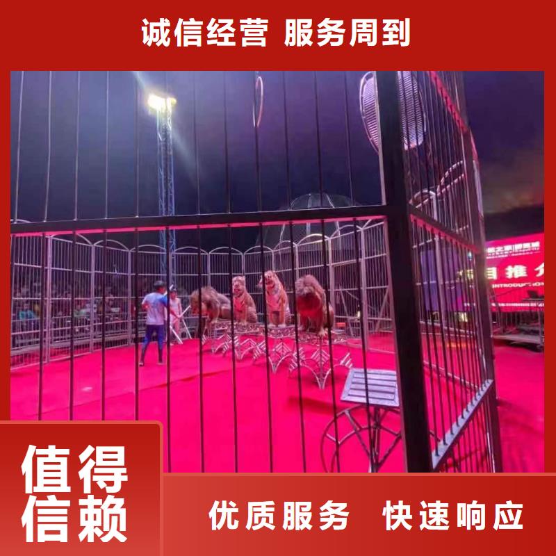 环球飞车表演出租庆典活动有实力