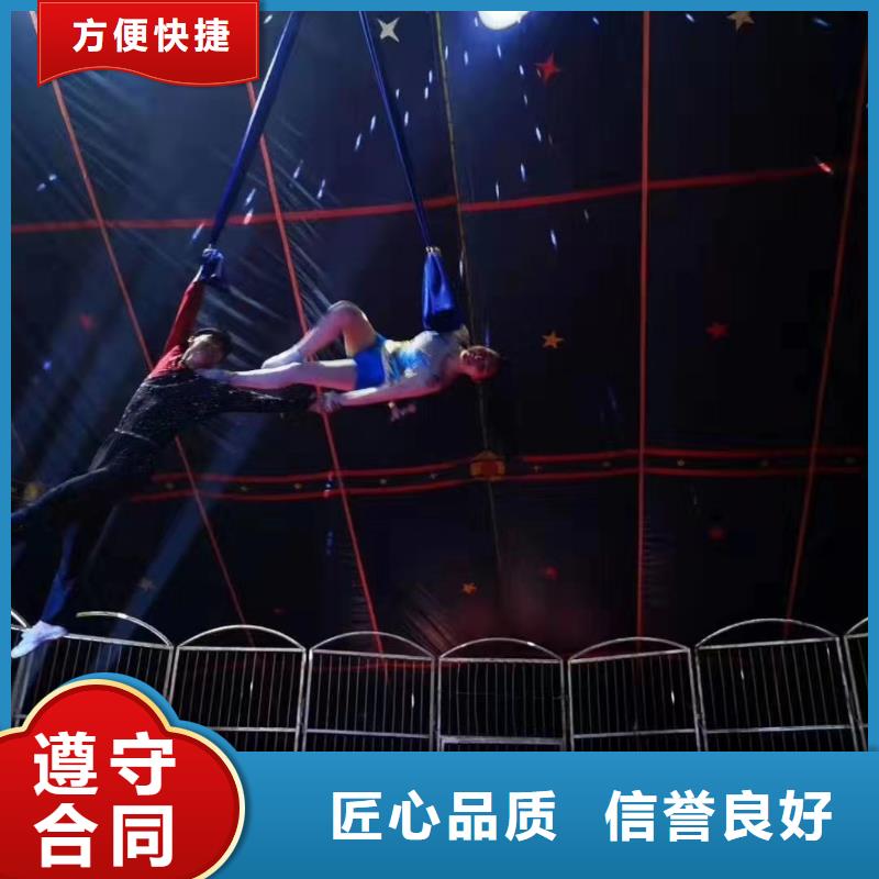 【马戏团/羊驼】_鹦鹉表演租赁技术好2024专业的团队