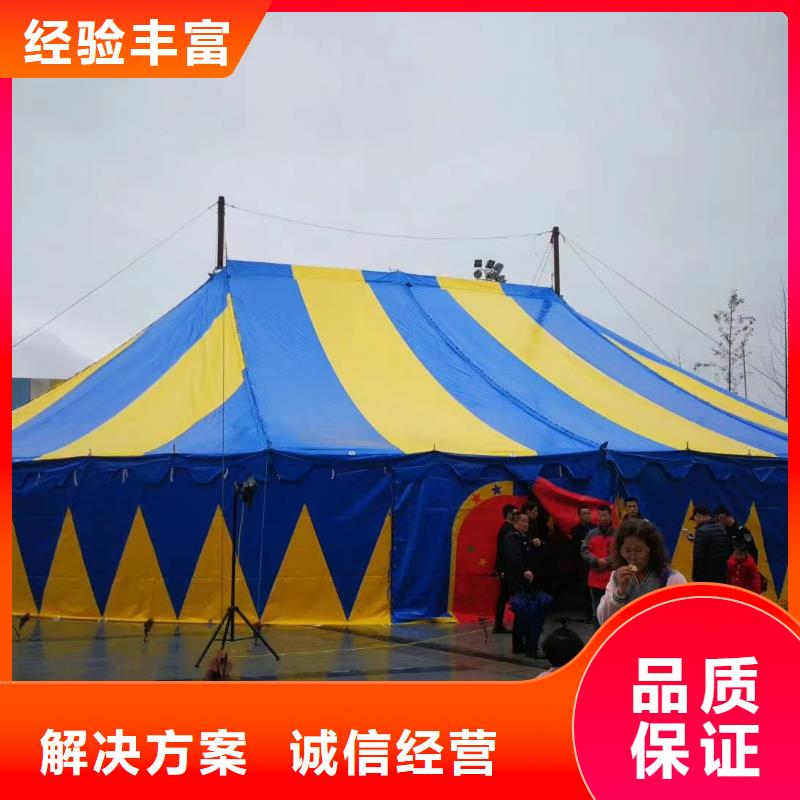 【马戏团/羊驼】,马戏团表演放心服务周到