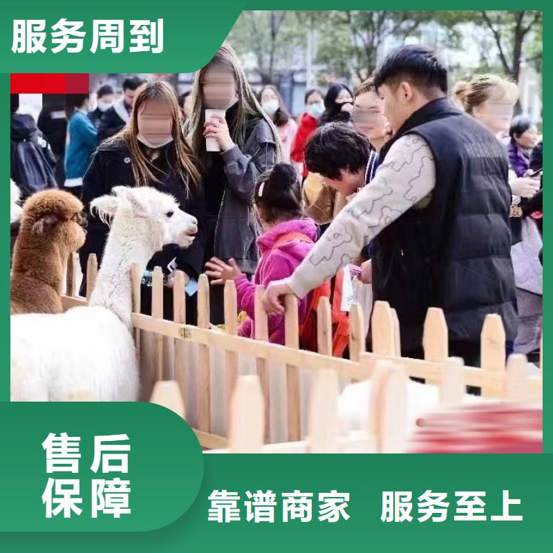 出租马戏团表演公司周边放心