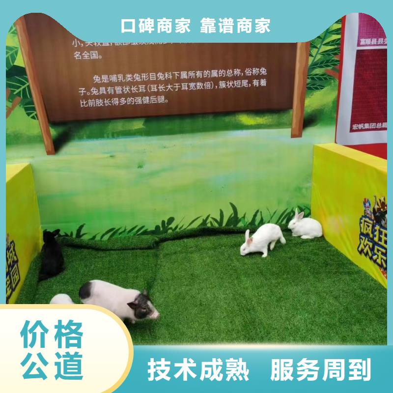 马戏团/羊驼马戏团出租收费合理当地生产厂家