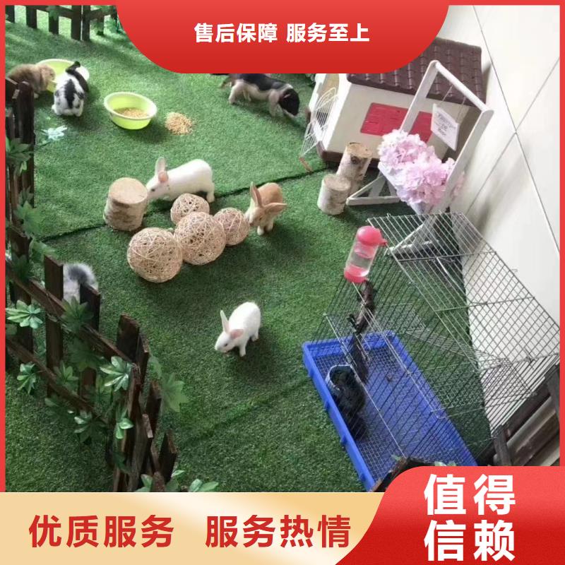 动物展租赁当地厂家
