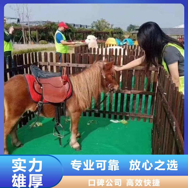 哪有出租动物表演的图片当地品牌