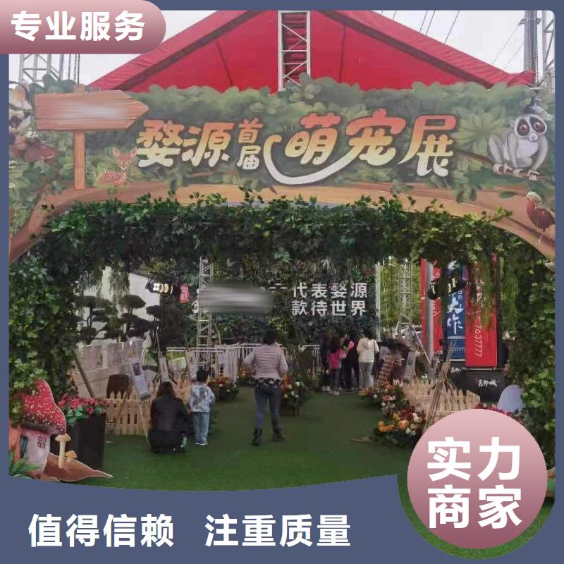 马戏团演出马戏团表演出租本地品牌
