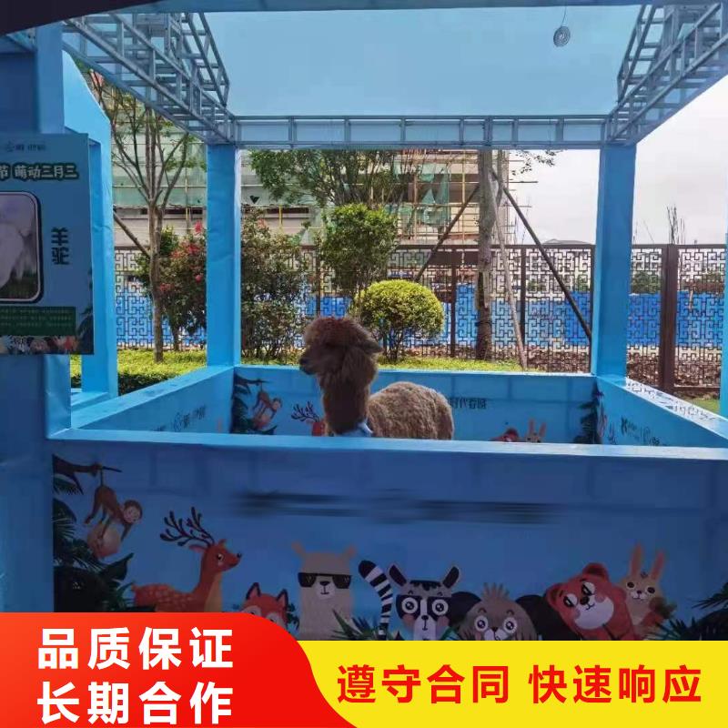 马戏团/羊驼-出租表演萌宠快速值得信赖