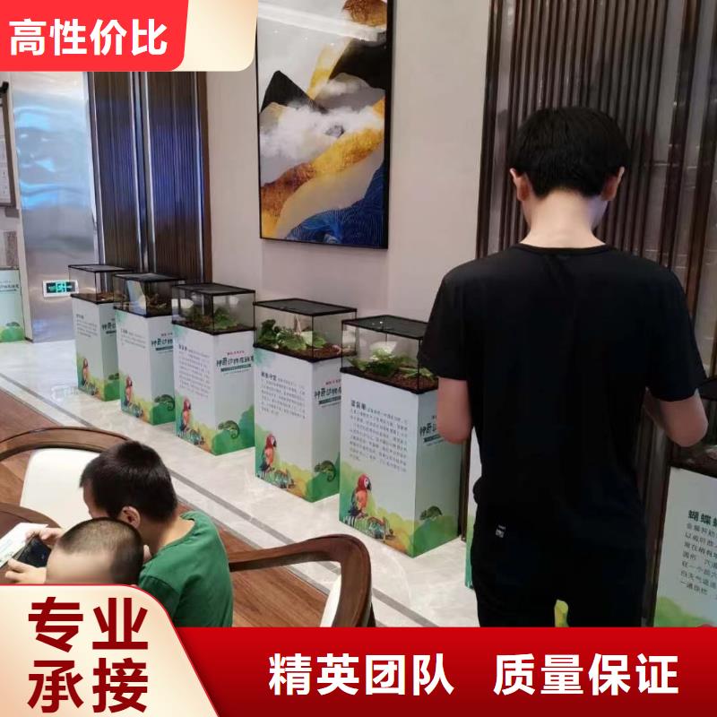 哪有羊驼出租的欢迎下单资质齐全