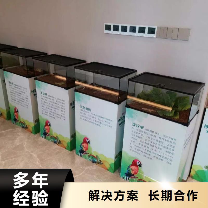 动物表演租赁货源充足多年行业经验