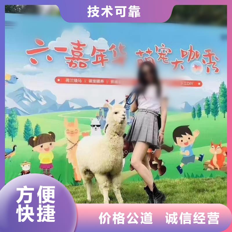 动物表演租赁点击查看服务至上
