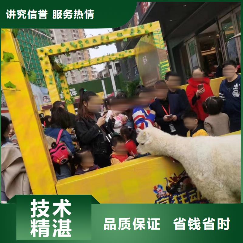 周边马戏团表演租赁公司电话好评度高