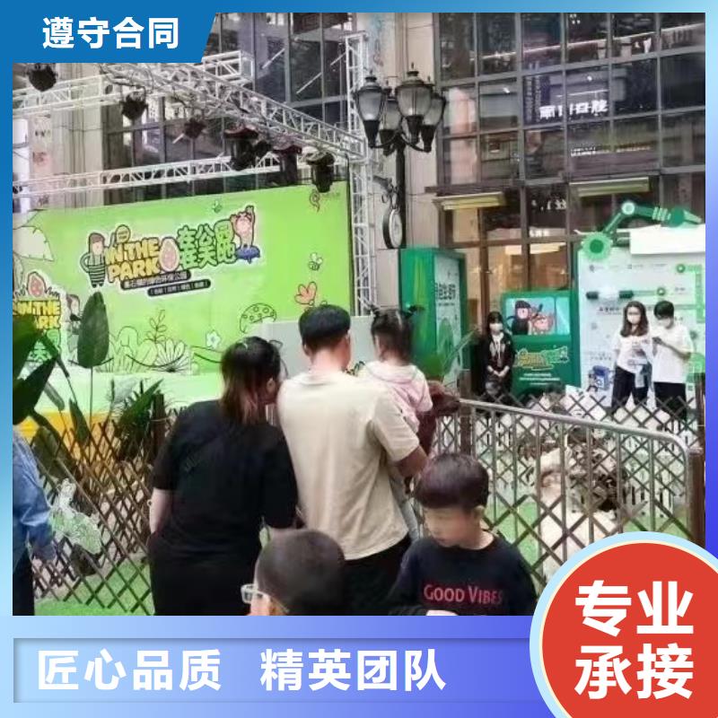 哪有出租马戏团表演的厂家服务完善本地货源