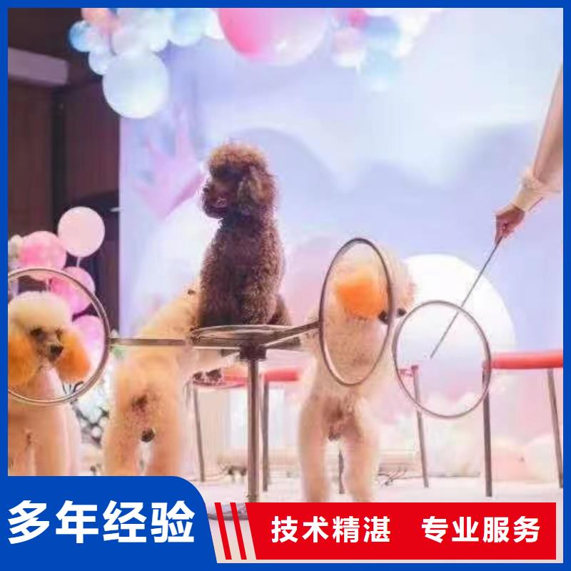 哪有出租羊驼的一手资源拒绝虚高价