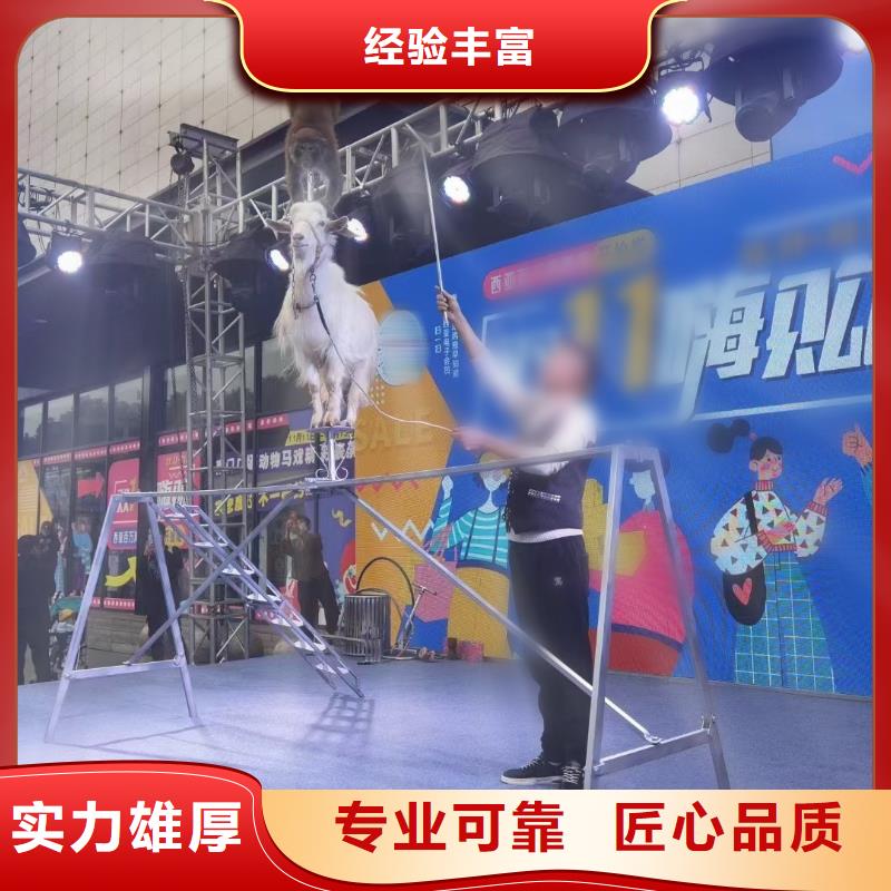 萌宠动物展出租联系方式讲究信誉