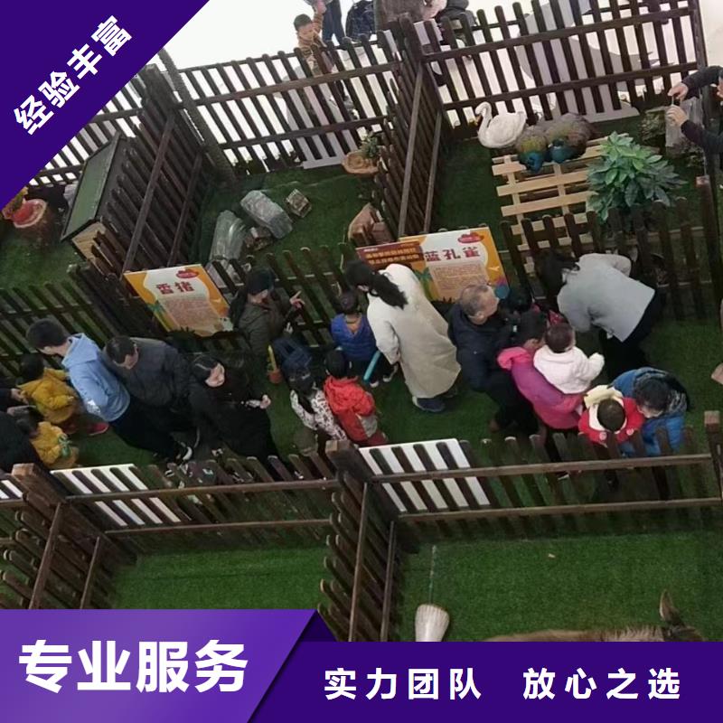 马戏团/羊驼【表演羊驼租赁】齐全专业公司