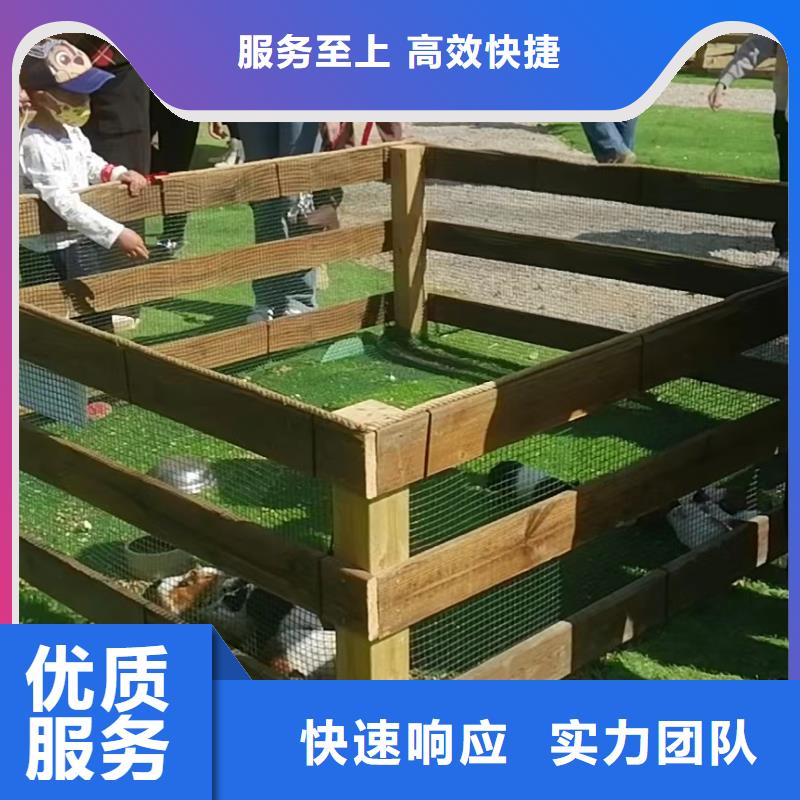 哪里有羊驼租赁的联系方式多年经验