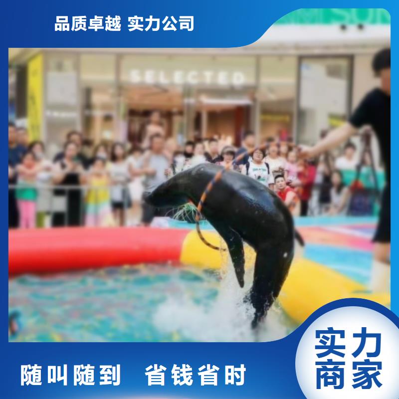 企鹅出租主题展览品质服务