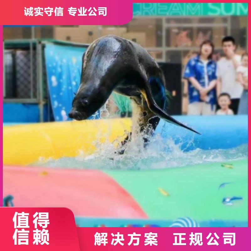 美人鱼表演出租本地公司