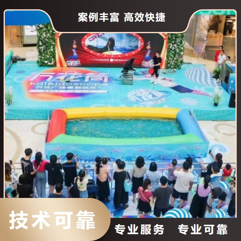 海洋主题动物表演海狮表演出租质优价廉诚实守信