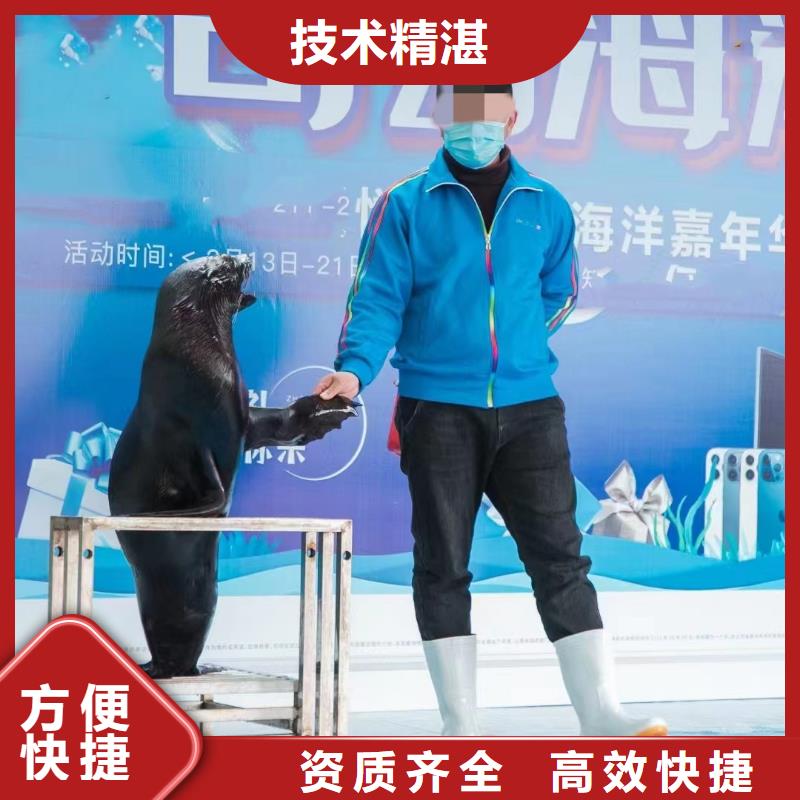 哪有企鹅租赁的一手资源拒绝虚高价