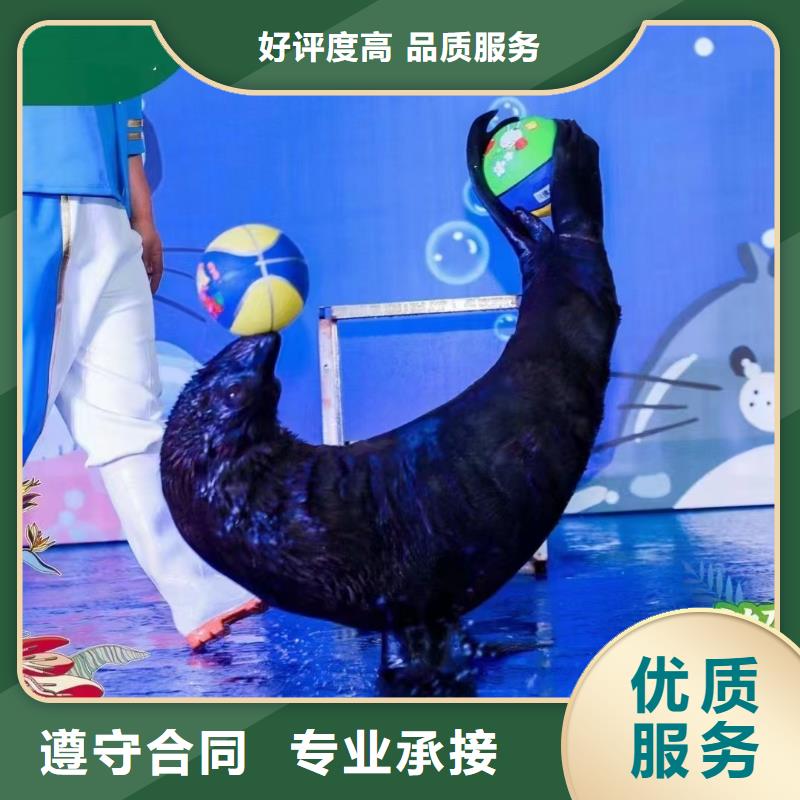 海洋展出租主题展览本地公司