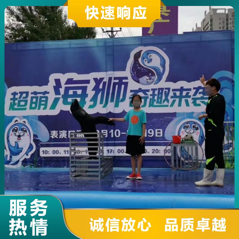潮州租赁美人鱼表演暖场氛围