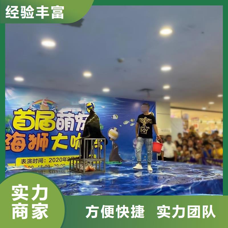 海洋主题动物表演小马戏出租专业服务专业服务