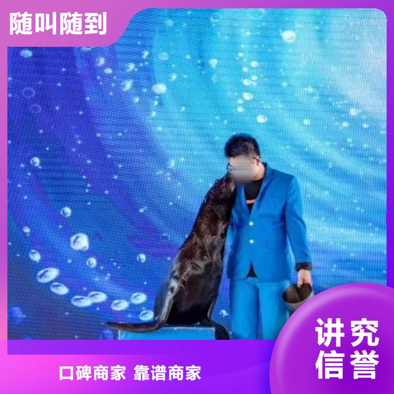 美人鱼表演租赁联系方式本地货源