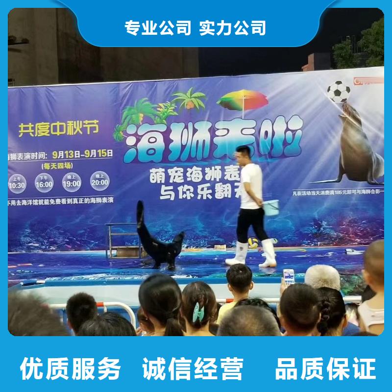 海洋主题动物表演美人鱼表演多家服务案例同城经销商