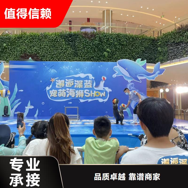 周边企鹅出租公司质量可靠同城经销商