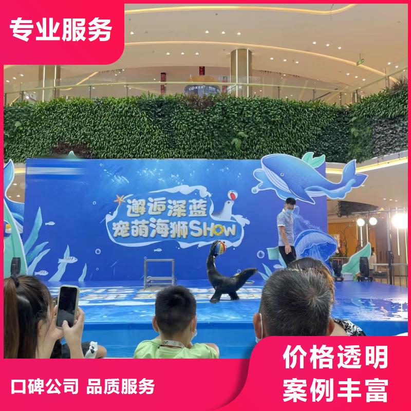 海洋主题动物表演观赏性羊驼租赁品质好技术可靠